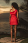Runaway - Phaera Mini Dress